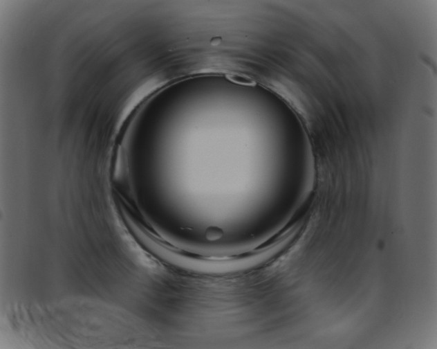 X0000097781138200803071343