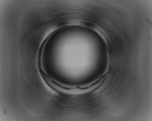 X0000097781139200803071343