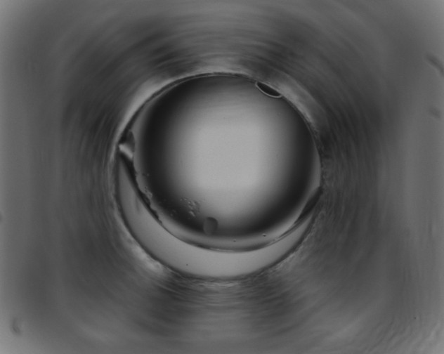 X0000097781140200803071343