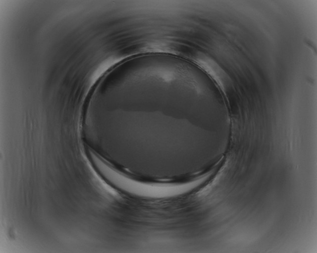 X0000097781141200803071343