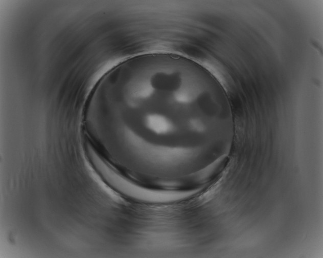 X0000097781142200803071343