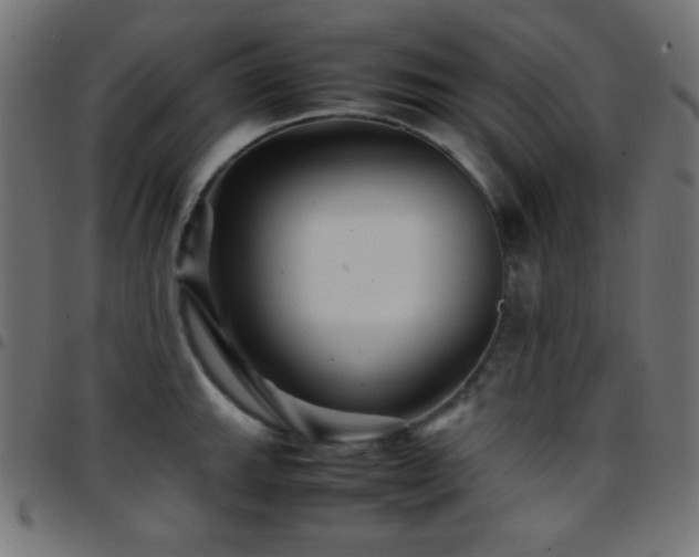 X0000097781143200803071343
