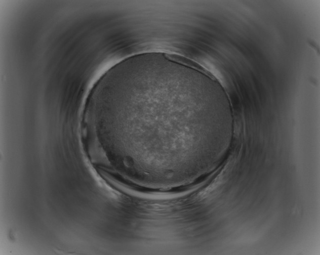 X0000097781144200803071343