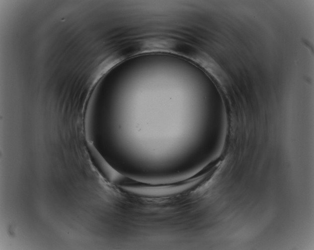 X0000097781145200803071343