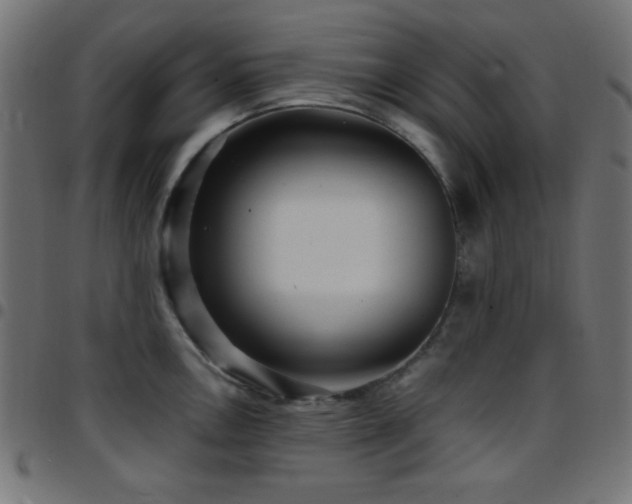 X0000097781146200803071343