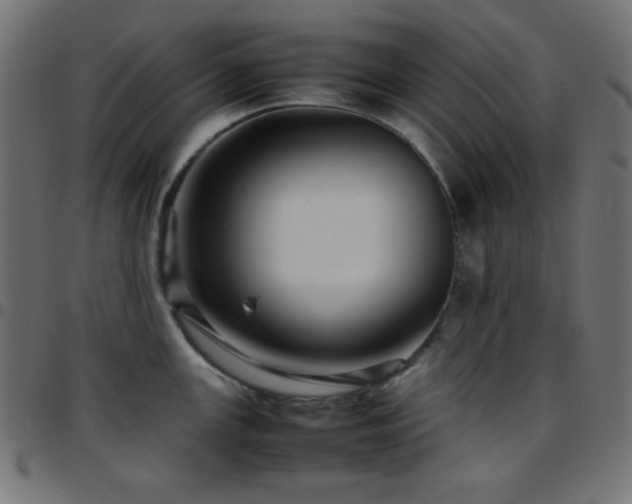 X0000097781147200803071343