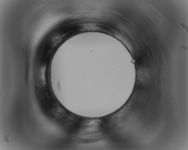 X0000097781150200803071343