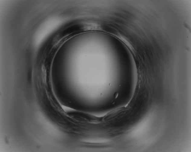 X0000097781151200803071344