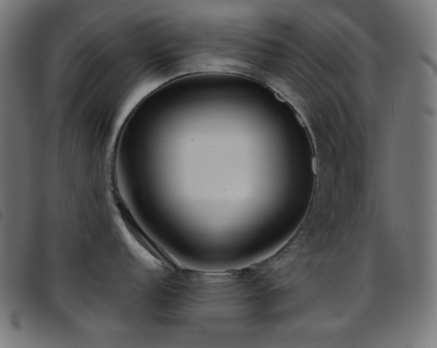 X0000097781152200803071344