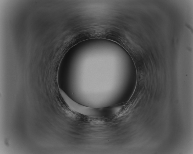 X0000097781153200803071343