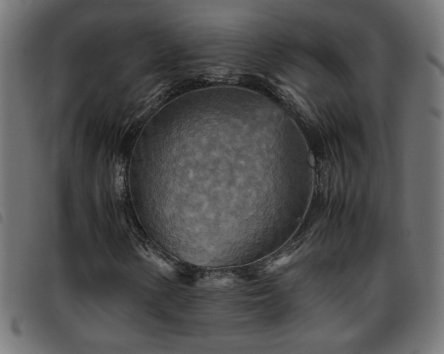 X0000097781154200803071343
