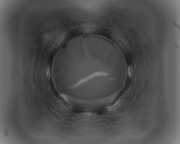 X0000097781155200803071343