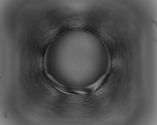 X0000097781156200803071343