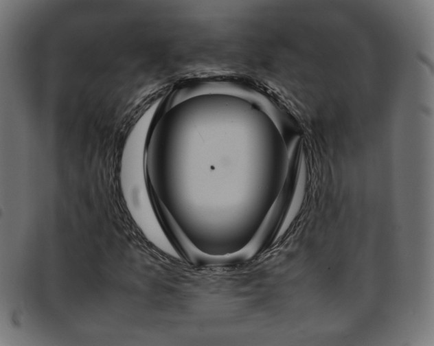 X0000097781157200803071343