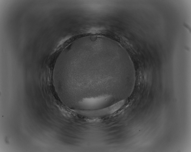 X0000097781158200803071343
