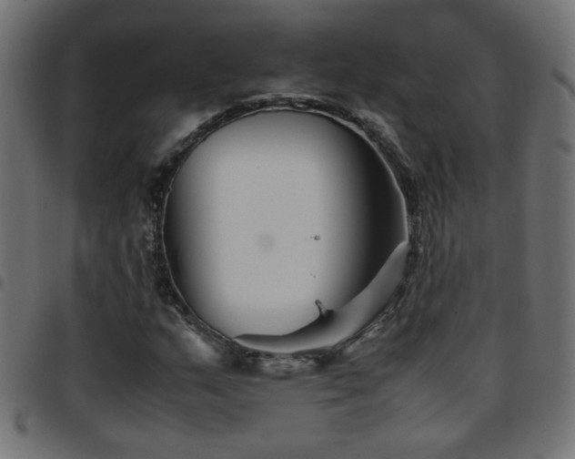 X0000097781159200803071343
