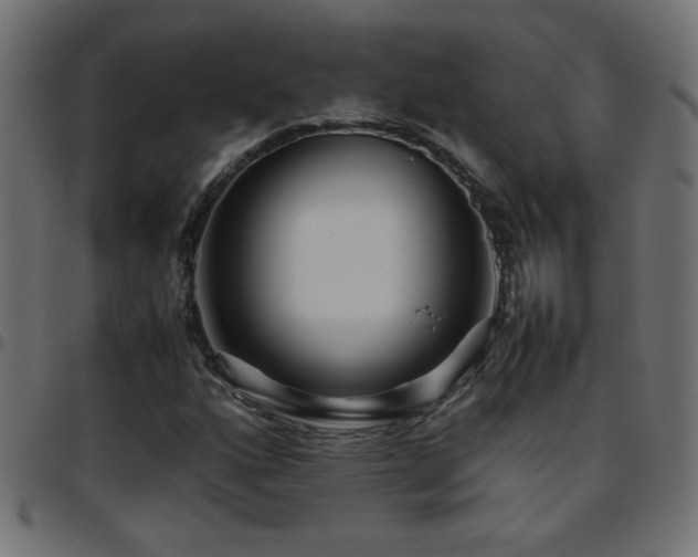 X0000097781160200803071343