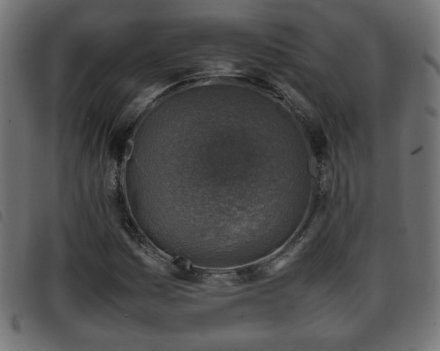X0000097781161200803071343