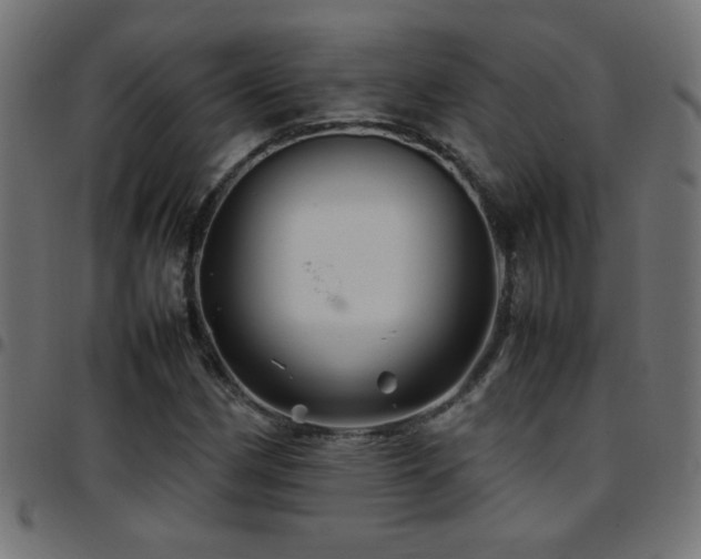 X0000097781162200803071343