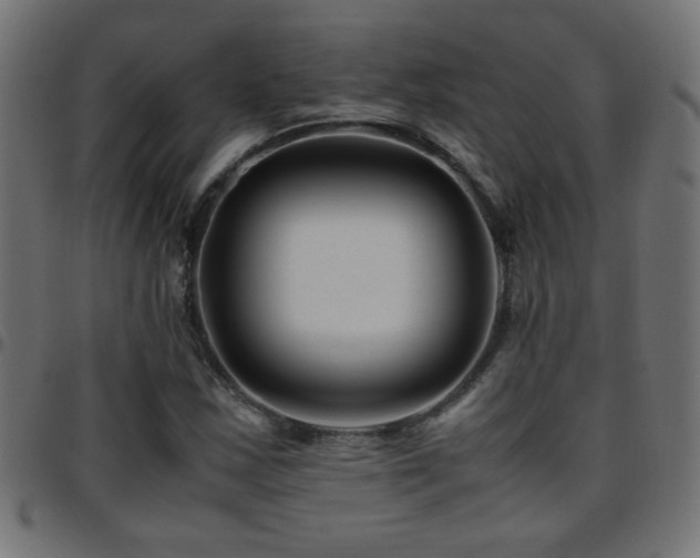 X0000097781163200803071343