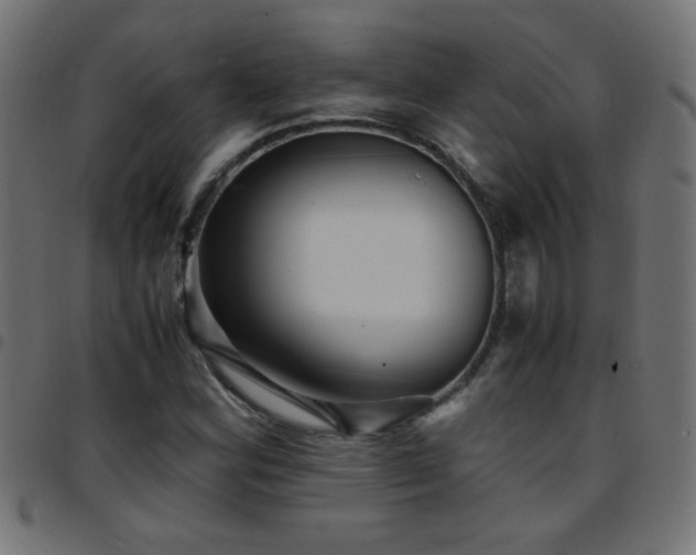 X0000097781164200803071343