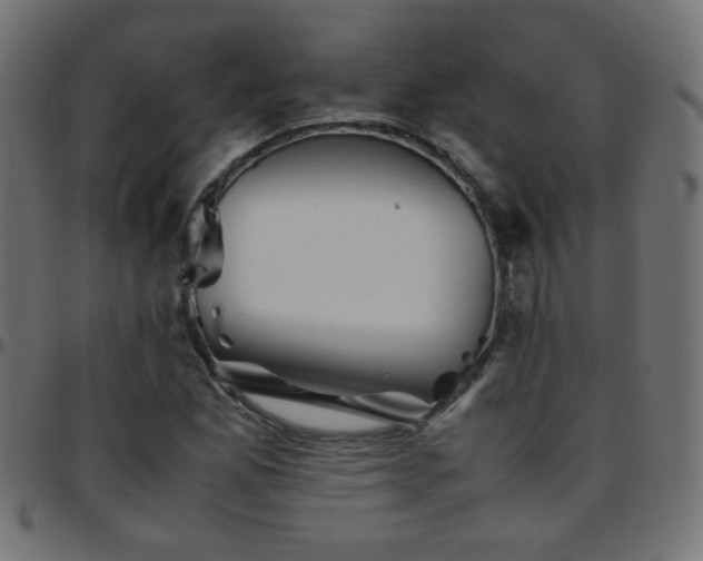 X0000097781165200803071343