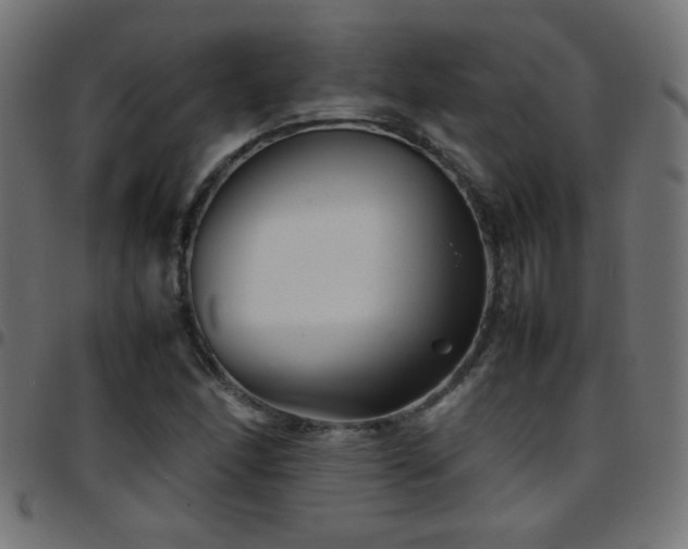 X0000097781166200803071343