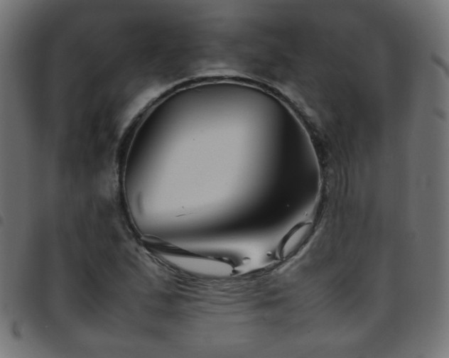 X0000097781167200803071343