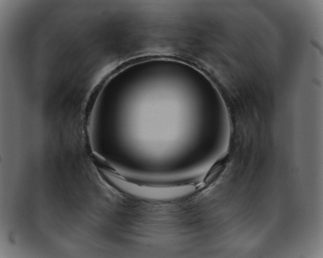 X0000097781168200803071343