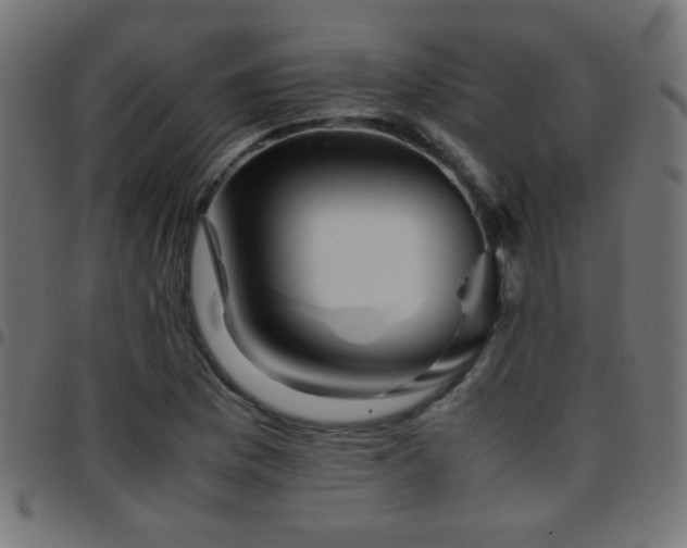 X0000097781169200803071343