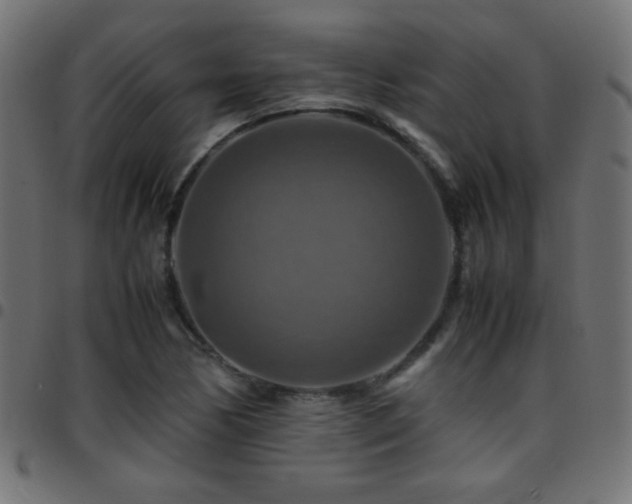 X0000097781170200803071343