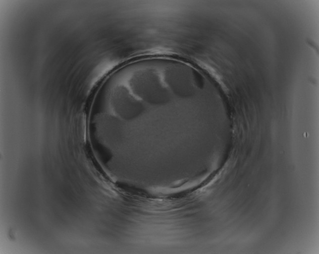 X0000097781171200803071343