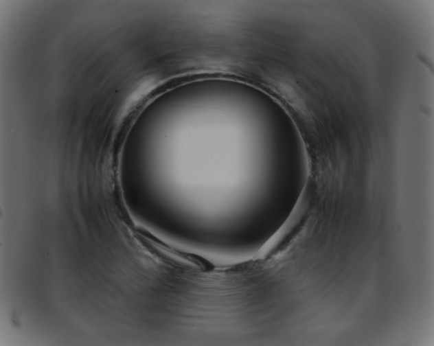 X0000097781172200803071343