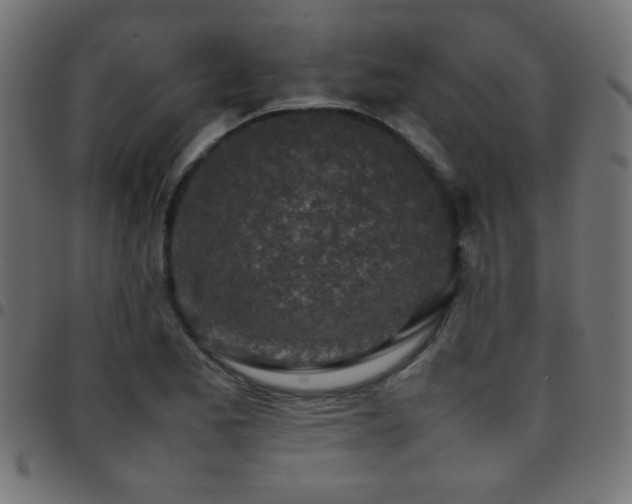 X0000097781173200803071343