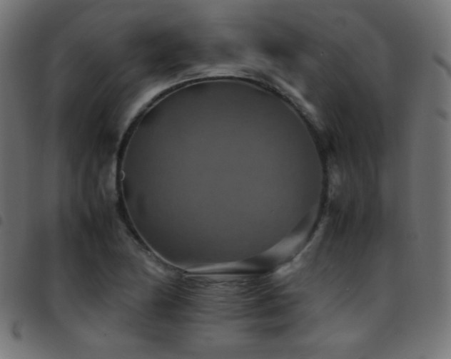 X0000097781174200803071343