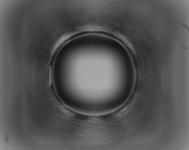 X0000097781175200803071343