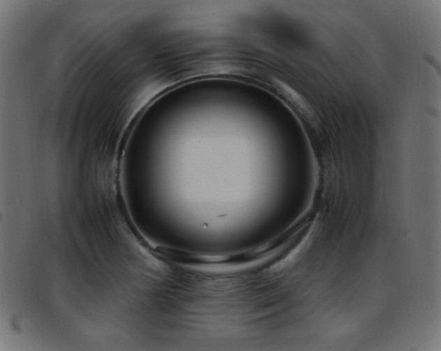 X0000097781178200803071343