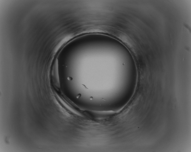 X0000097781181200803071342