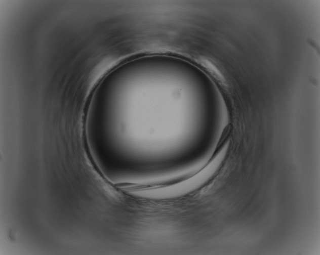X0000097781183200803071342