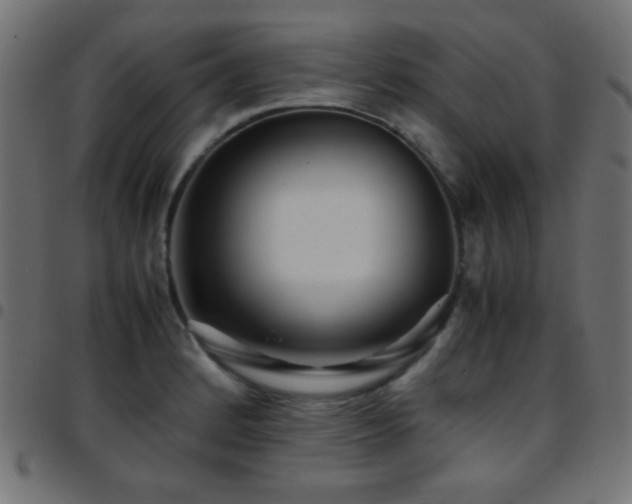 X0000097781184200803071342