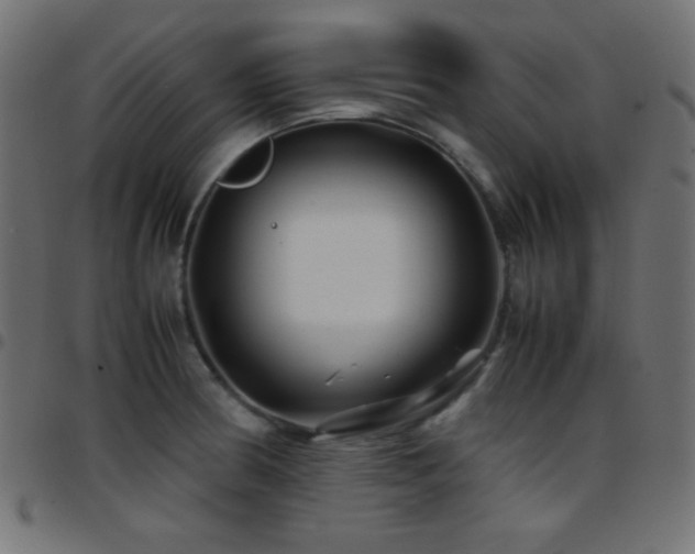X0000097781186200803071342