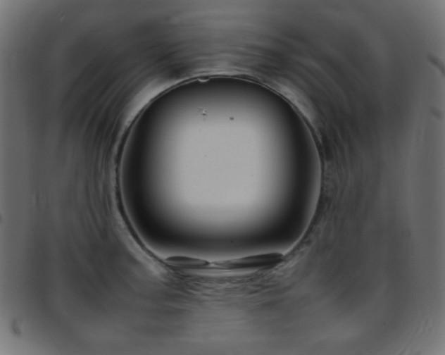 X0000097781187200803071342