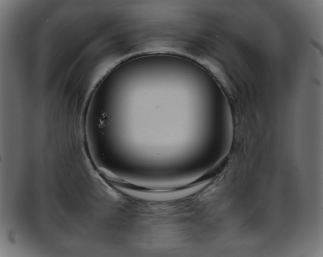 X0000097781191200803071342