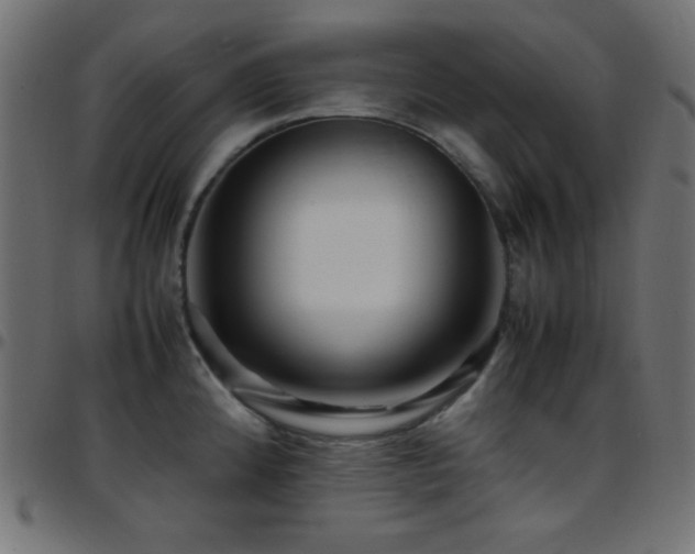 X0000097781192200803071342