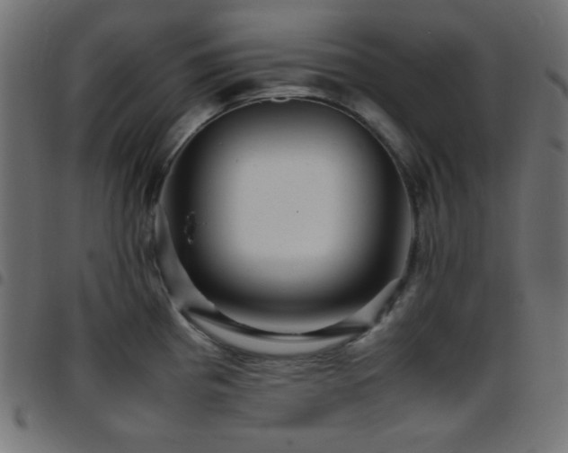 X0000097781193200803071342