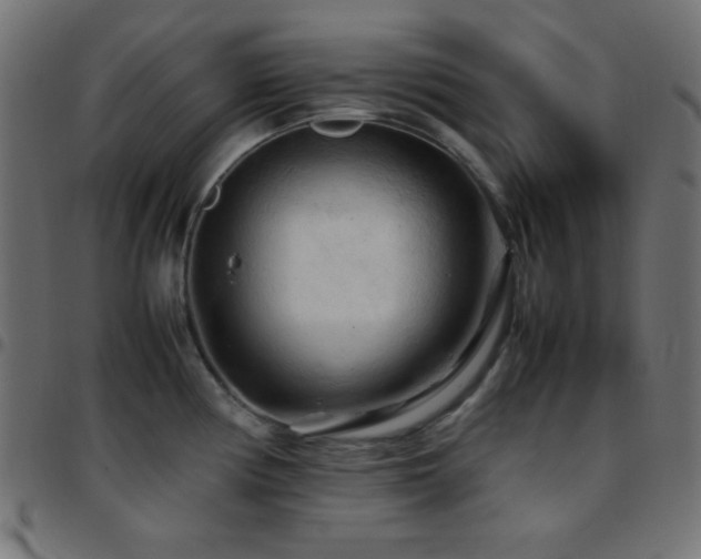 X0000097781194200803071342