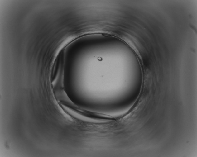 X0000097781197200803071342