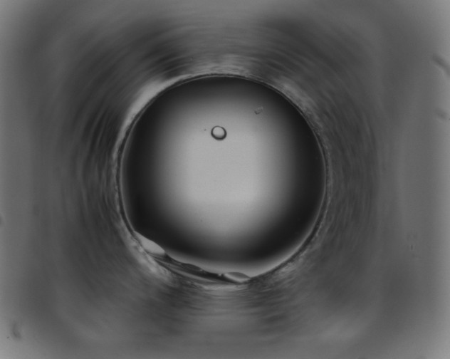 X0000097781200200803071342