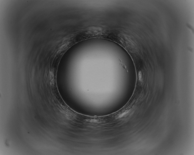 X0000097781203200803071342
