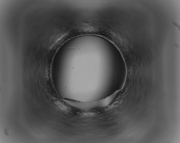 X0000097781205200803071342